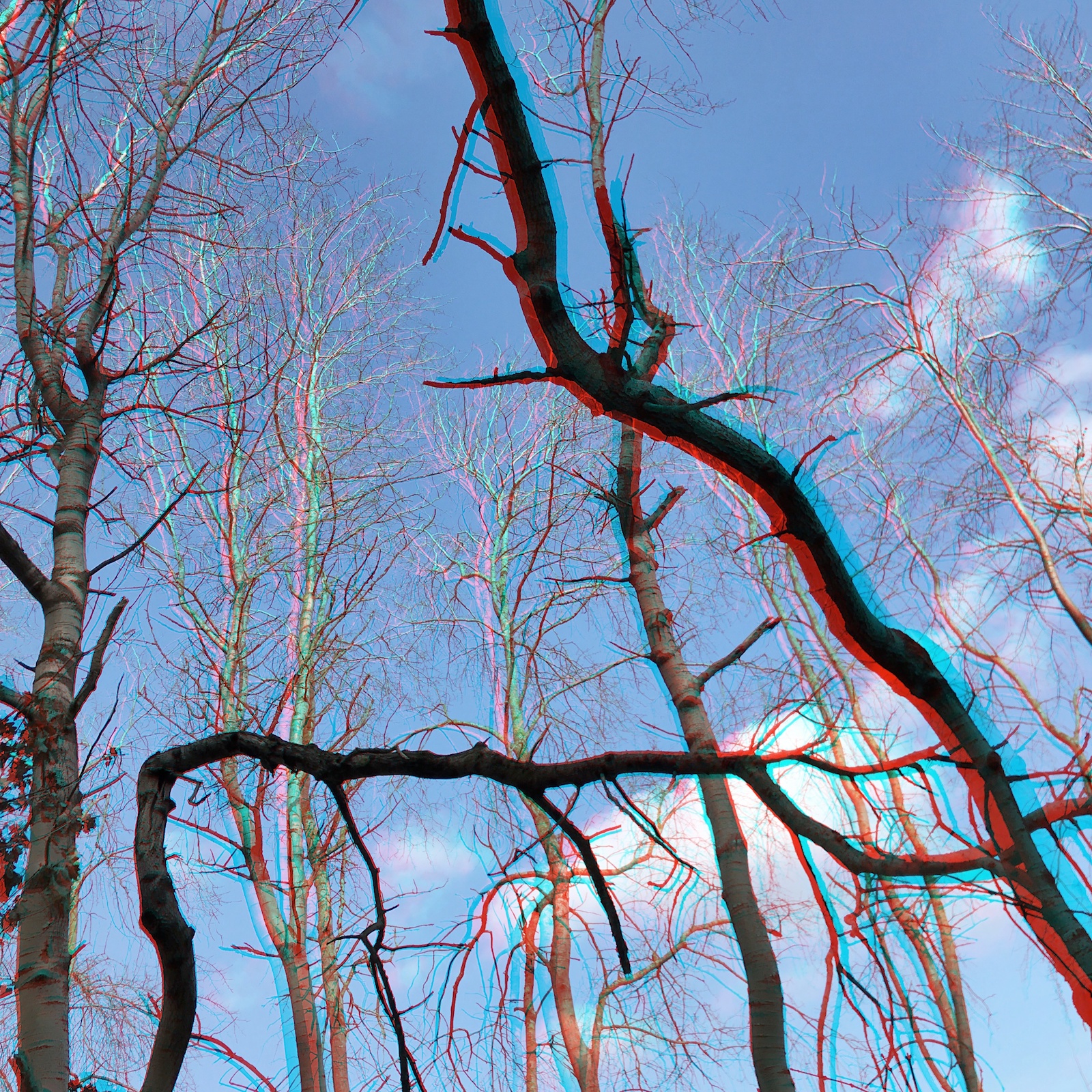 2018-02 - RC Anaglyphe »DANCING TREES«