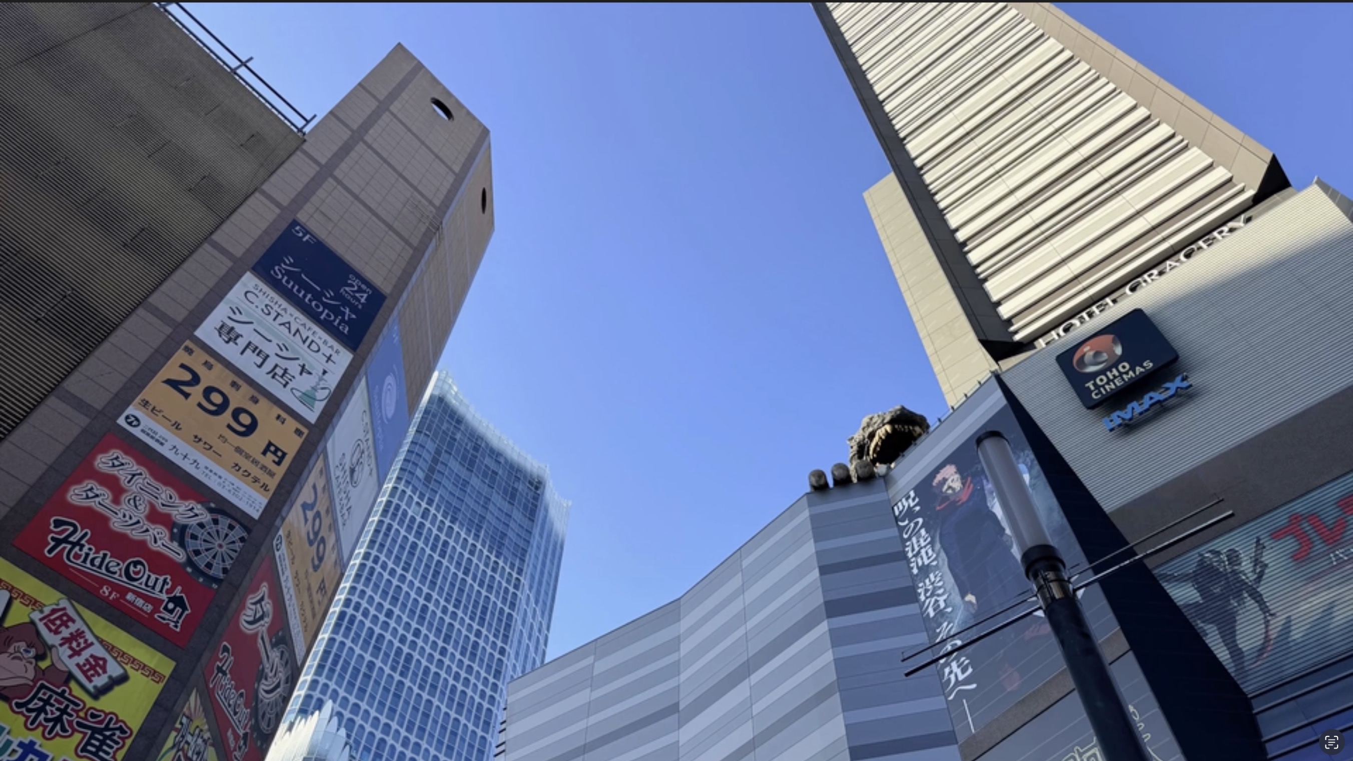 Walking Shinjuku's streets with Ayako-san zebra