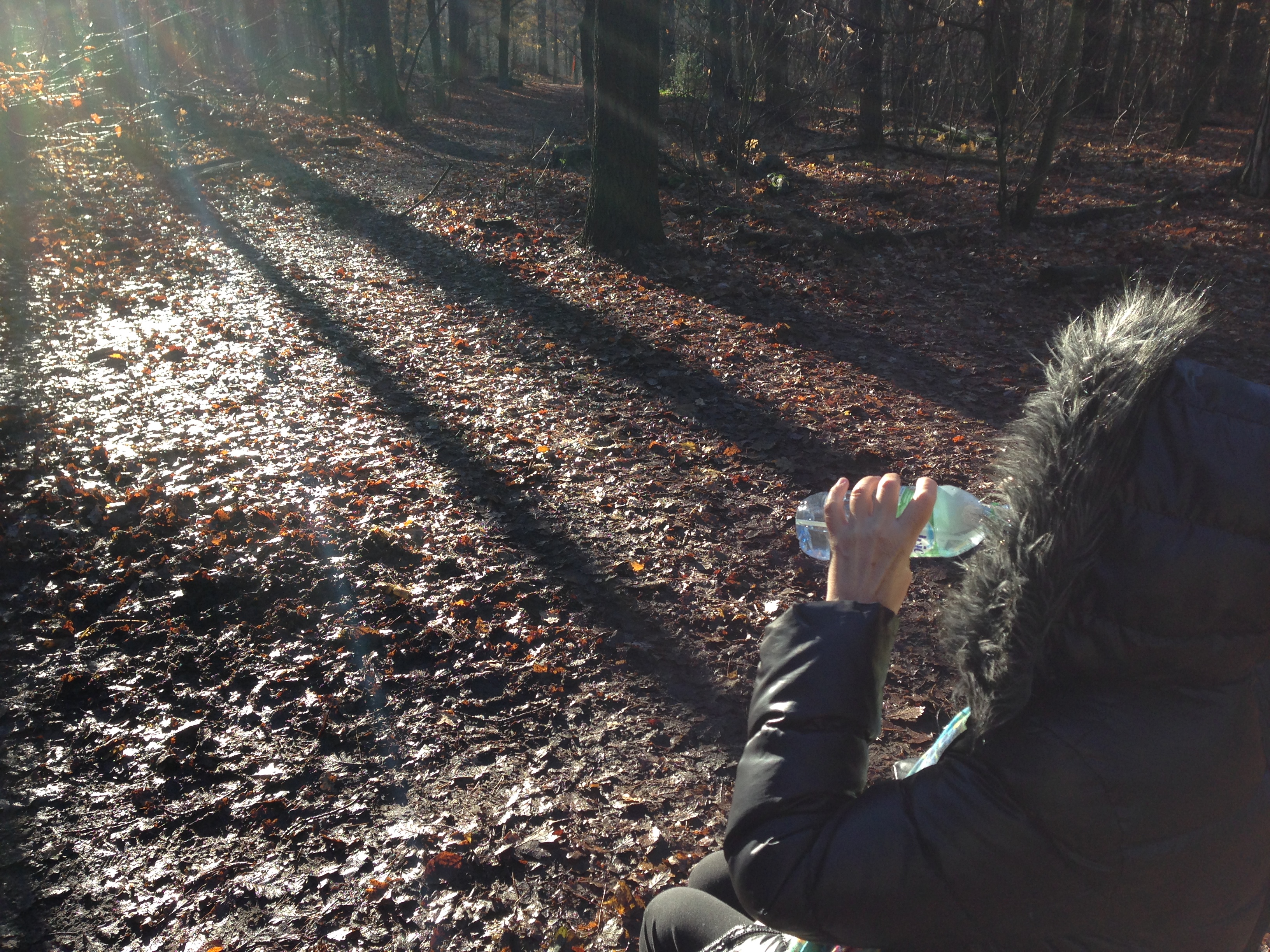 Angi im Wald