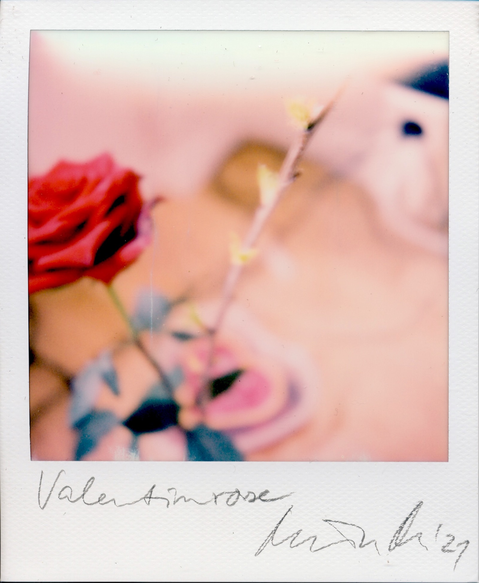 RC Anaglyphe 2021-06 »VALENTINSROSE«