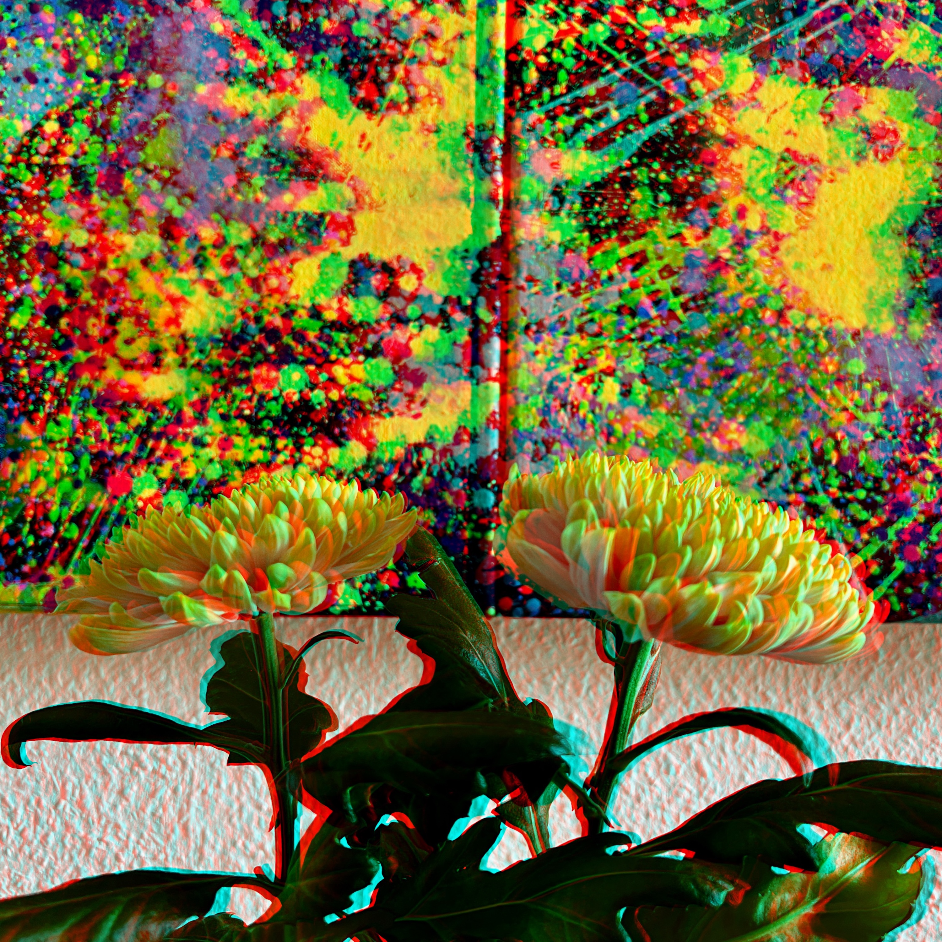 epics 2025 - ag_chrysanthemenN