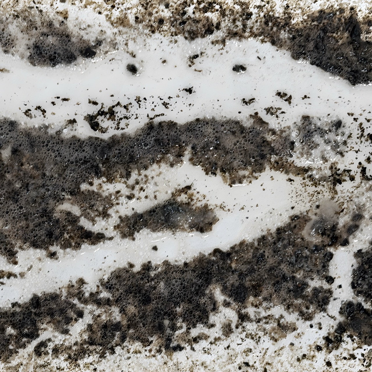 RC Anaglyphe 2026-01 &raquo;WINTER WONDER&laquo;