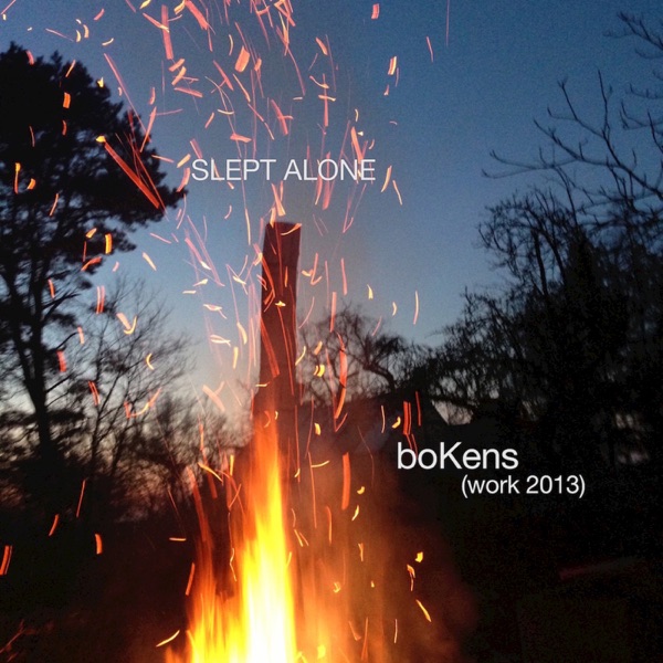 Cover *SLEPT ALONE*