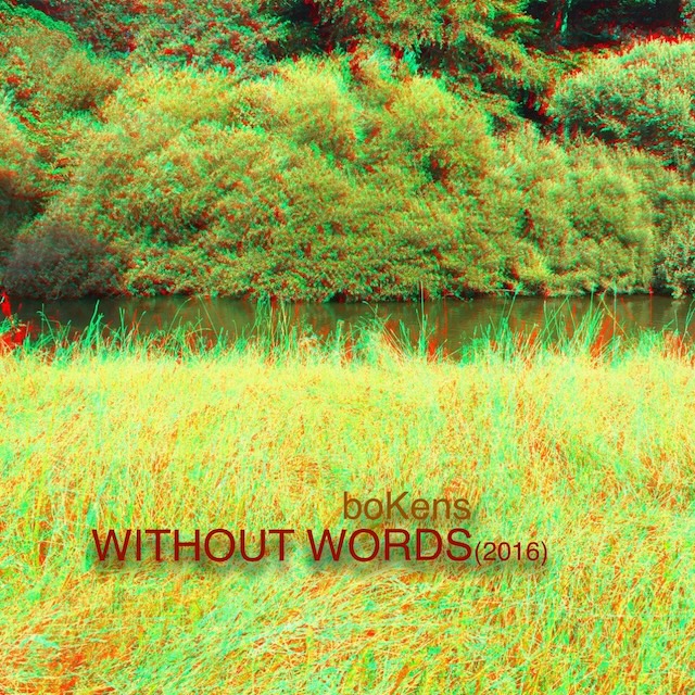 cover *without words* 2016
